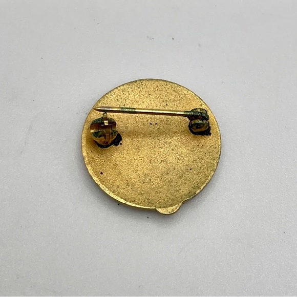 Rare Vintage Carlton Chronic And Convalescent HOSPITAL Gold Filled Pin Pollock - Picture 5 of 8